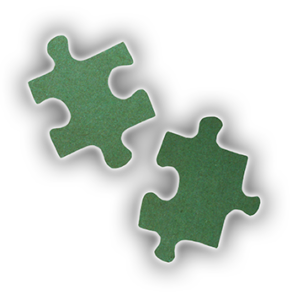 Puzzle Pieces